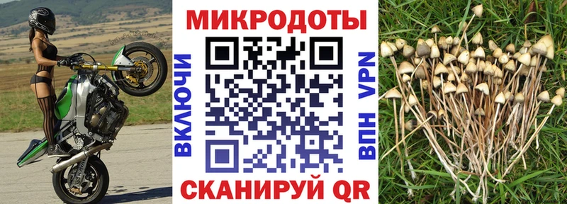 где продают Среднеколымск Галлюциногенные грибы Magic Shrooms